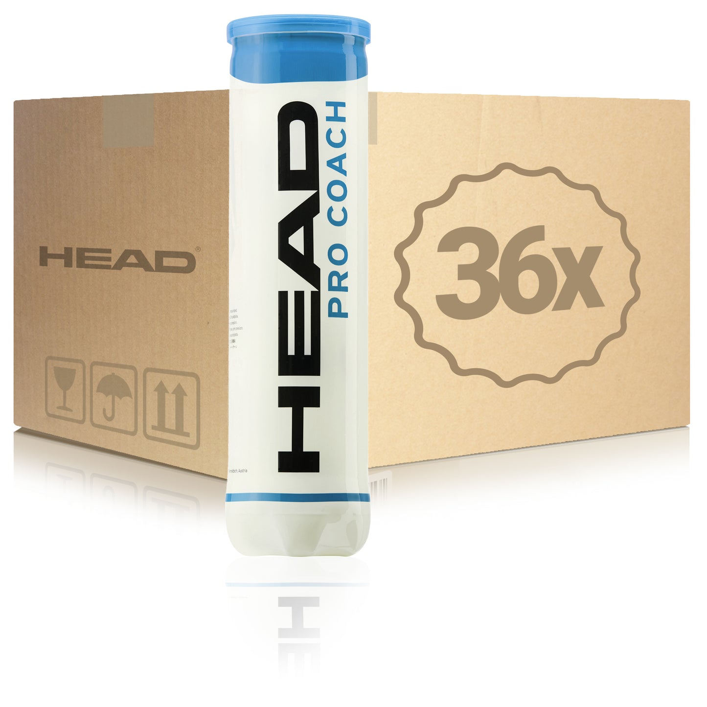 HEAD 36x 4er Dose Pro Coach im Karton HEAD 36x 4er Dose Pro Coach im Karton