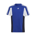 bleu_5727