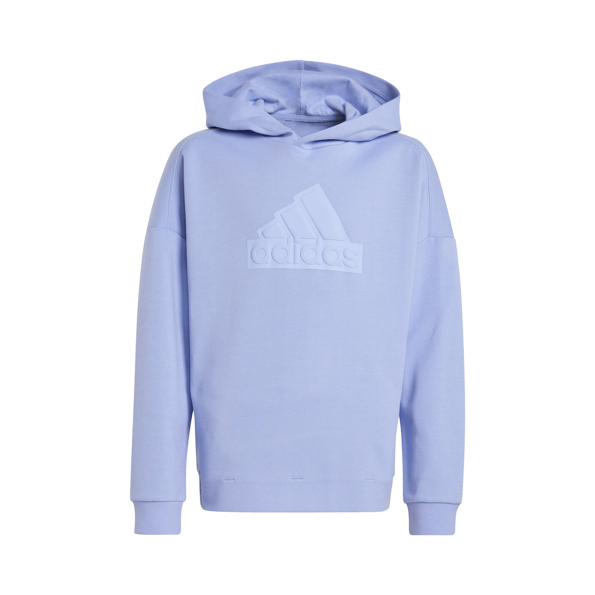 adidas Future Icon Logo Hoody Jungen - hellblau,