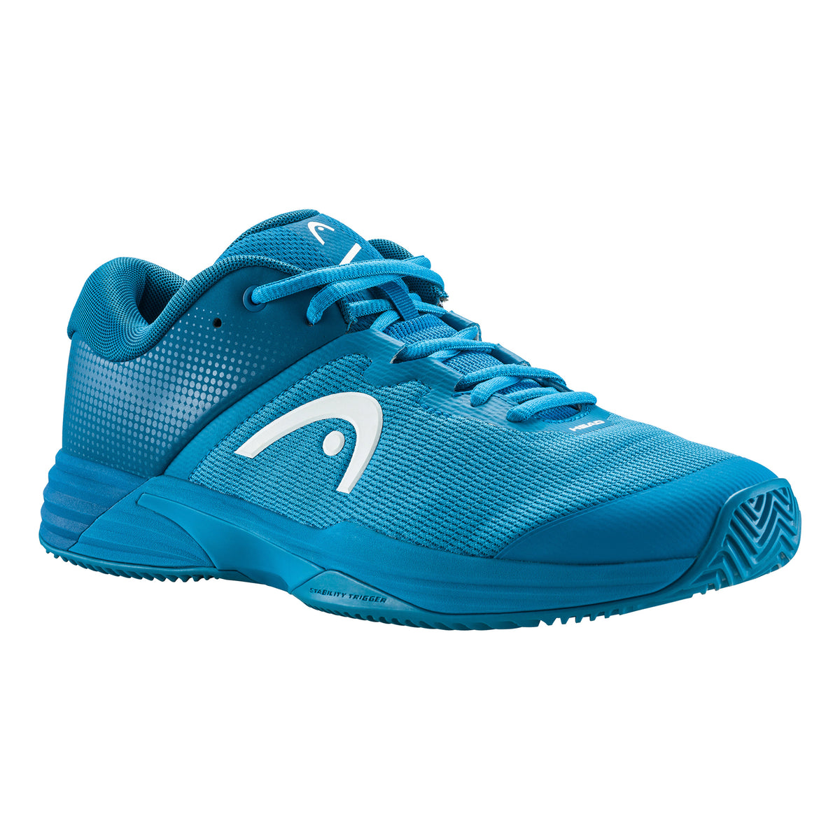 HEAD Evo 2.0 Chaussure terre battue Hommes - bleu,