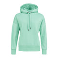 menta_11858