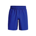 Woven Graphic Pantaloncini Uomini - blu,