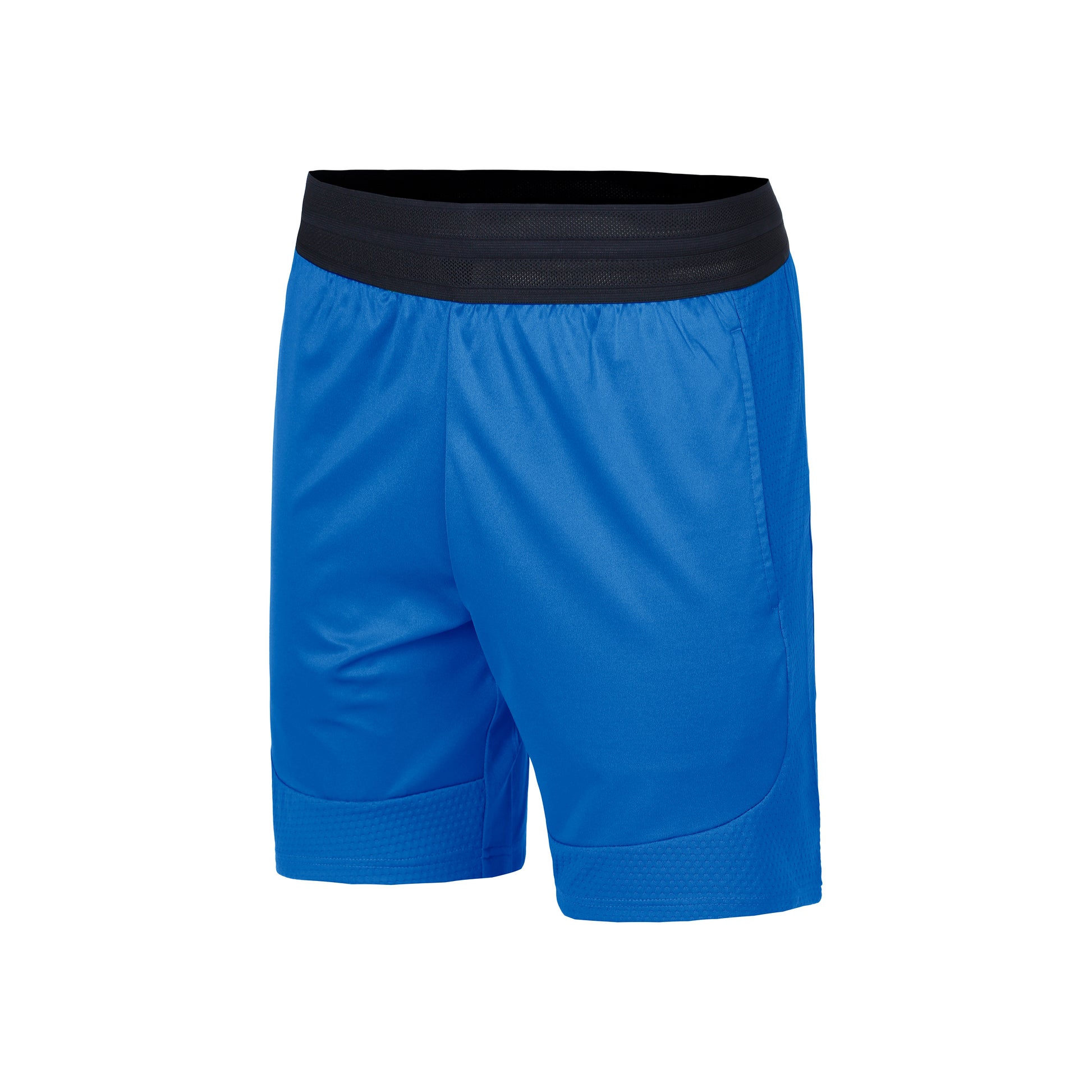 Lacoste Shorts Hommes-Bleu