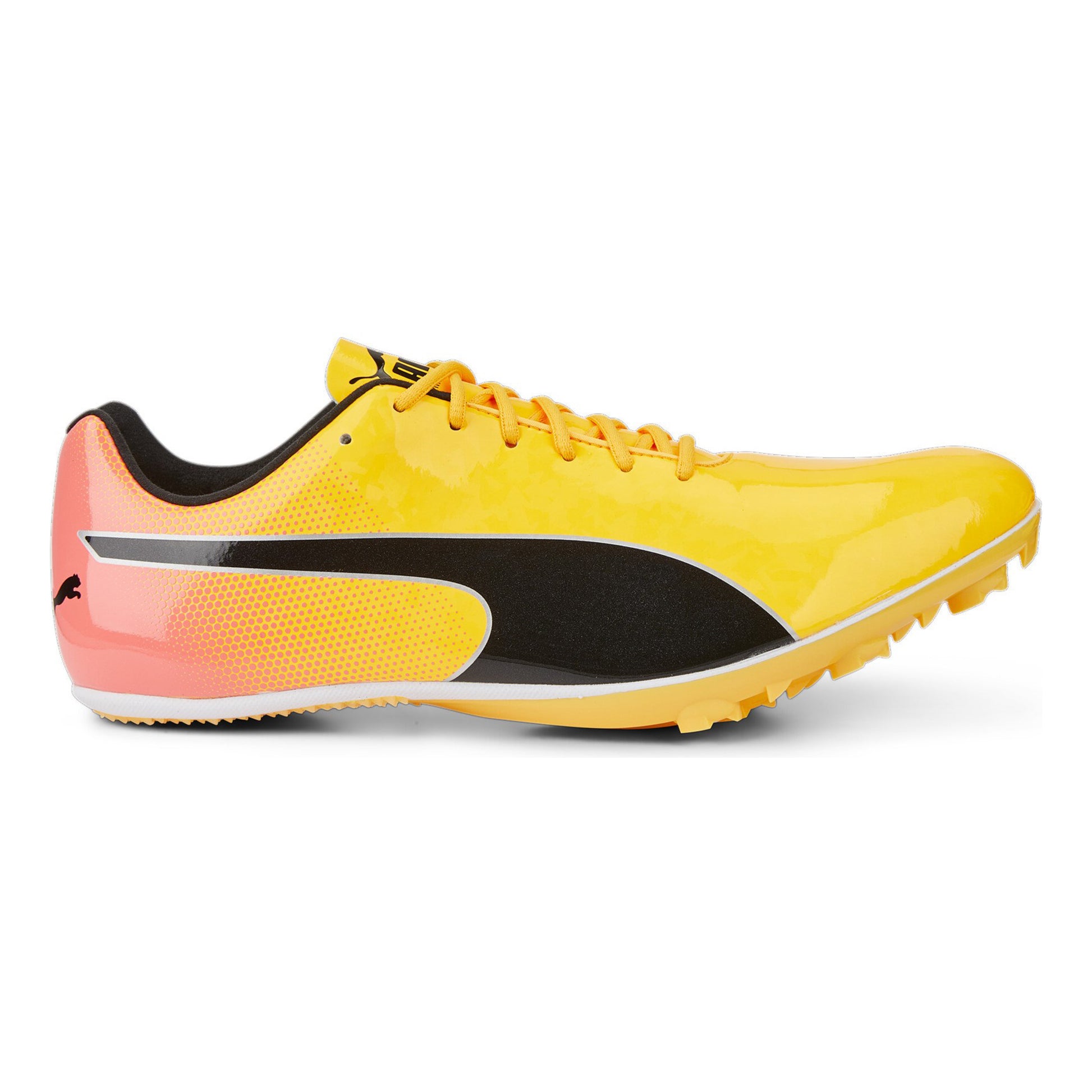 Puma EvoSPEED Sprint 14 Spikes-Jaune,Orange