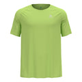 verde chiaro_5810