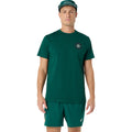 verde scuro_6015