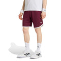 Classics 9Inch Pantaloncini Uomini - vino rosso, bianco