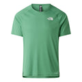 verde_5828