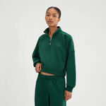 Ellesse Bekleidung Ellesse Carrera 1/4 Zip Longsleeve Damen - dunkelgrün, 