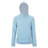 TEAM TERRY HOODIE SAGE Hoody Unisex-hellblau