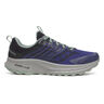 Ride TR2 GTX Trailschuh Herren-Lila,Schwarz