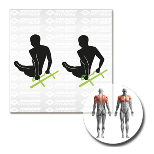 Schildkr&ouml;t Fitness