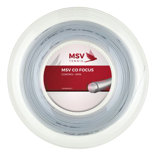 MSV
