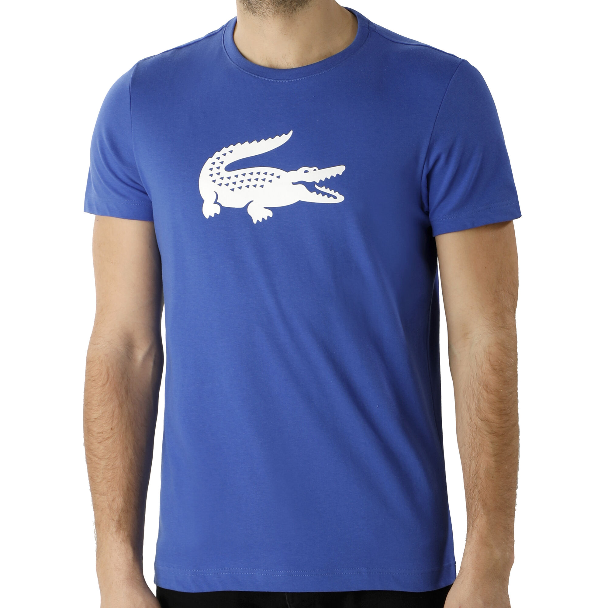 Lacoste T-Shirt Herren - Blau, Weiß online kaufen | Tennis-Point