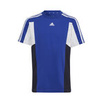 Colorblock 3-Stripes Regular Fit T-Shirt