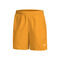 Dri-Fit Shorts
