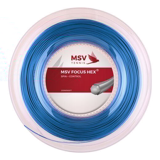 MSV