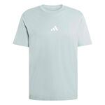 adidas Bekleidung adidas Essentials T-Shirt Herren-salbei