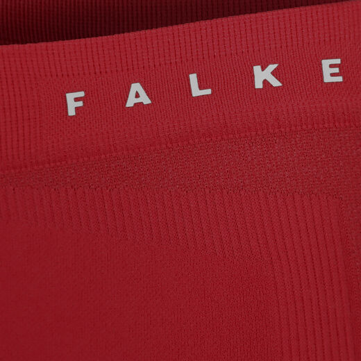 Falke