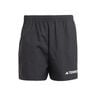 Terrex MT Laufshorts Herren-Schwarz