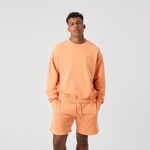 Bj&ouml;rn Borg Bekleidung Bj&ouml;rn Borg Borg Oversized Washed Sweatshirt Herren-Orange