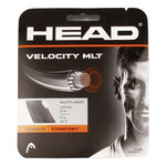 HEAD HEAD Velocity MLT Saitenset 12m-Schwarz