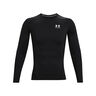 Heatgear Comp Longsleeve Herren-Schwarz,Wei&szlig;