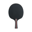 Dunlop