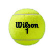 Wilson