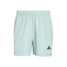 D4T Essentials Shorts Herren-mint