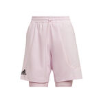 US Series 2in1 Shorts