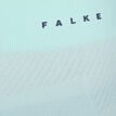 Falke