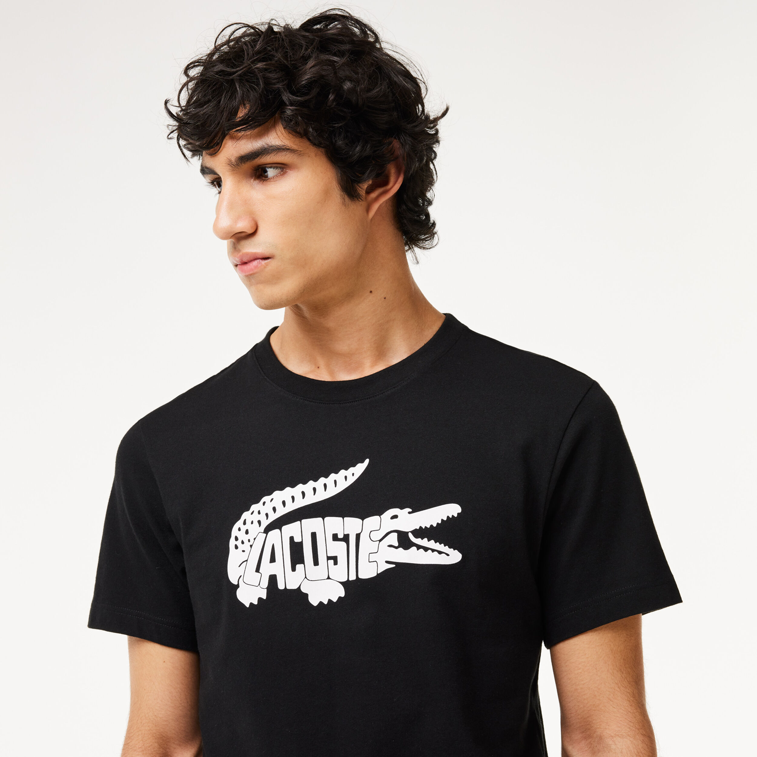 Lacoste T Shirt Herren Schwarz WeiB online kaufen Tennis Point CH