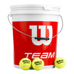 Wilson Tennisbälle Wilson Team W Trainer 72er Eimer Special Edition